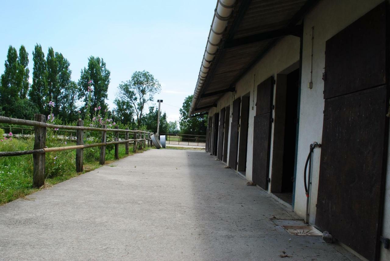Ecurie De La Grange L'Abbe Appartement Le Langon Buitenkant foto